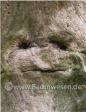 Liebes Wesen
